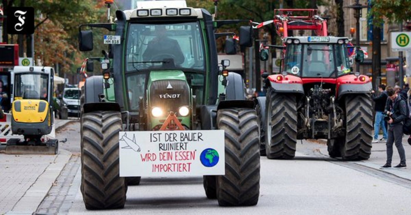 Die Demo in Hamburg war lange vorher geplant gewesen. (Bild FAZ Wirtschaft/ Twitter)
