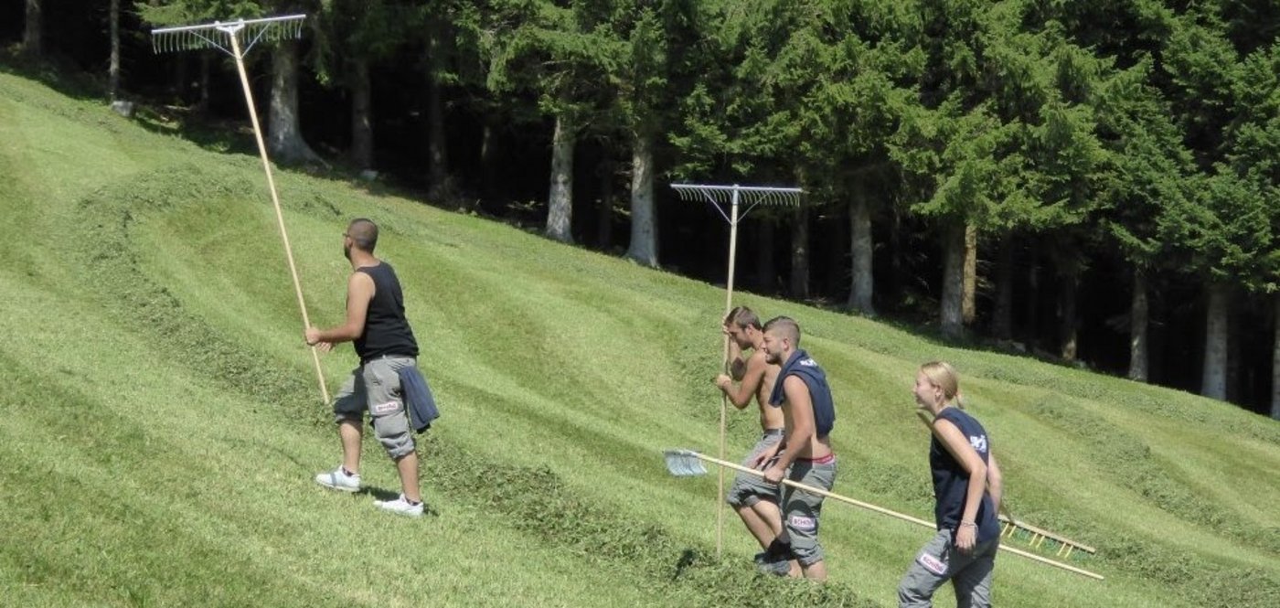 Einsätze für frewillige Helfer in den Bergen seien beliebt, so die "bergversetzer". (Bild zVg)