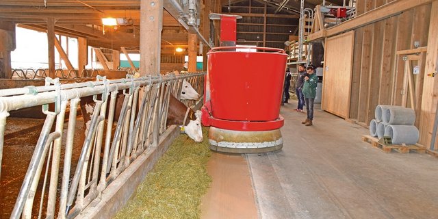 Fütterungsroboter erleichtern die Arbeit beim Futterschieben.(Bild Peter Fankhauser)