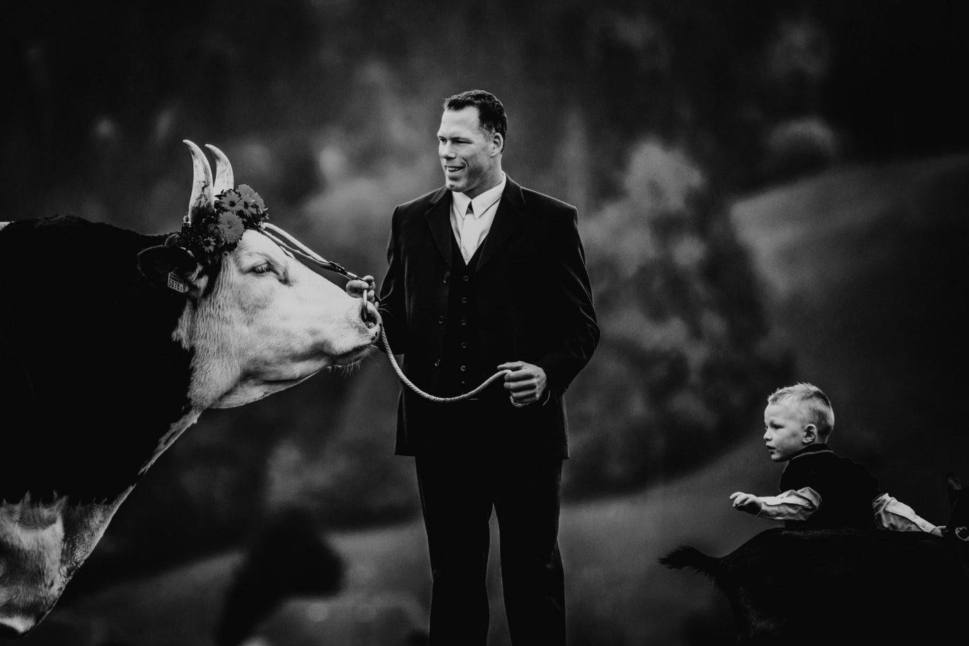 «Sicherheit geht vor», entschied Matthias Sempach. «Wenn ein Muni merkt, wie stark er ist, wird es gefährlich.» (Bild Rebecca Müller, BeccaPhotographie)