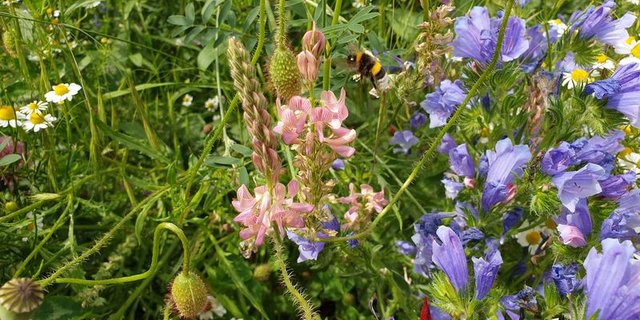 Die Volksinitiative «Für die Zukunft unserer Natur und Landschaft» ist formell zustande gekommen. (Bild lid)