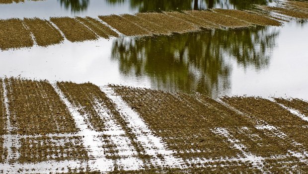 In der Ost- und Westschweiz gab stellenweise Überschwemmungen. Betroffen sind etwa 300 Hektaren, die bisher der Schweizer Hagel gemeldet wurden. (Symbolbild Agroscope)