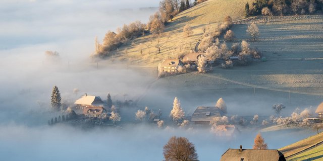 Die Reaktionen zur Sistierung der Agrapolitik 2022+ fallen unterschiedlich aus. (Bild SBV)
