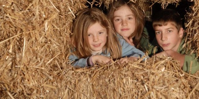 Bauernkinder sind weniger geplagt von Asthma und Allergien. (Bild die grüne)