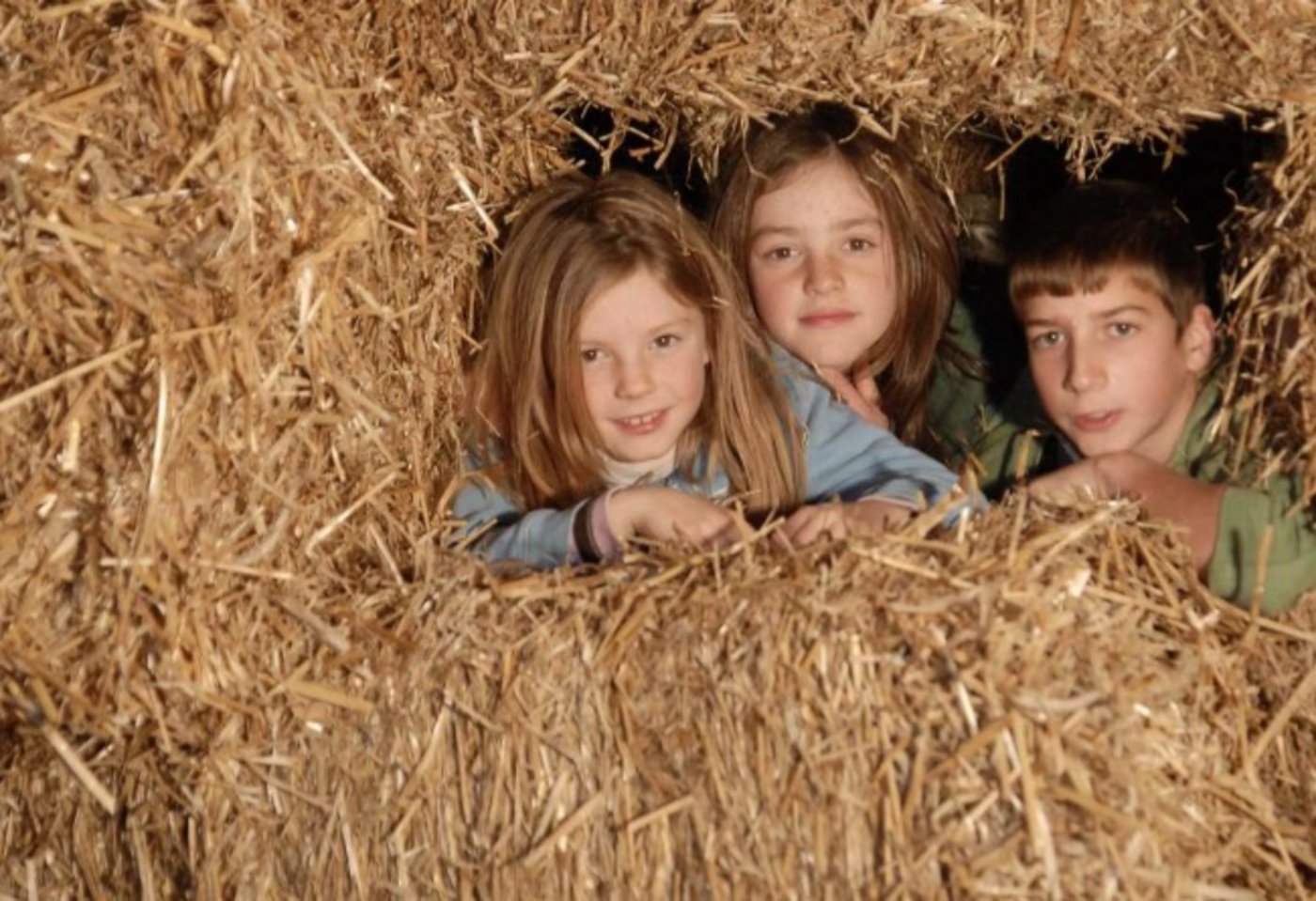 Bauernkinder sind weniger geplagt von Asthma und Allergien. (Bild die grüne)