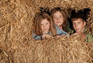 Bauernkinder sind weniger geplagt von Asthma und Allergien - Dank der Zusammensetzung der Mikroflora Bauernkinder sind weniger geplagt von Asthma und Allergien. (Bild die grüne)