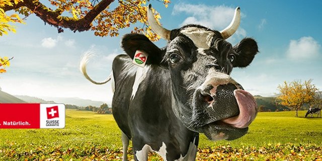 Die Swissmilk-Kampagne kommt international gut an. (Bild Swissmilk)