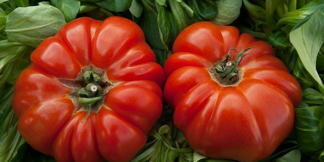 Swisscofel ist der Verband des schweizerischen Früchte- Gemüse-, Kartoffel und Küfehandels. Küfe steht für Küchenfertig. (Symbolbild Pixabay)