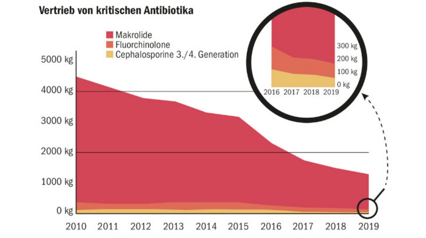 Diese Grafik zeigt, dass der Einsatz von kritischen Antibiotika in der Veterinärmedizin in den vergangenen zehn Jahren, bis 2019, deutlich abnahm. (Grafik BLV)