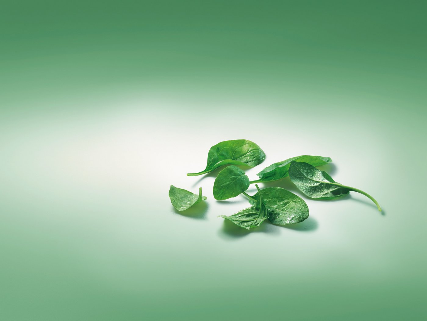 Spinat ist vielfältig einzusetzen. (Bild: VSGP)