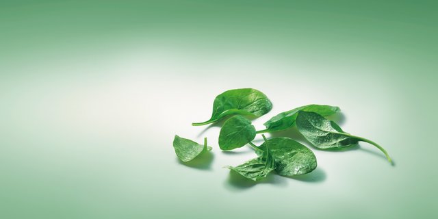 Spinat ist vielfältig einzusetzen. (Bild: VSGP)