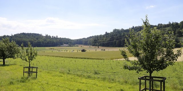 Ein Grossteil der derzeit noch dynamischen Waldgrenzen im Aargau betreffen Landwirtschaftsland. (Bild ji)