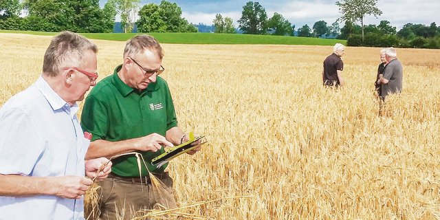 Um eine möglichst objektive und richtige Schadensbeurteilung zu gewährleisten, werden die Schäden von zwei Schadenfachpersonen begutachtet. (Bild Schweizer Hagel)