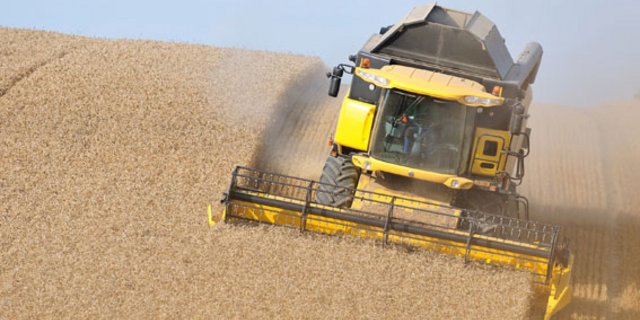 Die Landwirtschaft gerät von Avenir Suisse unter Beschuss. (Symbolbild Cédric Péclard)