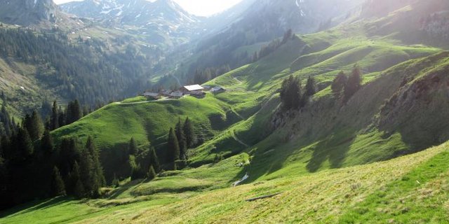 Alp Morgeten. (Bild Christian Haueter)