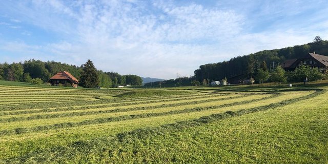 Wer im Futterbau hohe Erträge erzielen will, sollte die Bodenfruchtbarkeit nicht ausser Acht lassen. (Bild Jasmine Baumann)