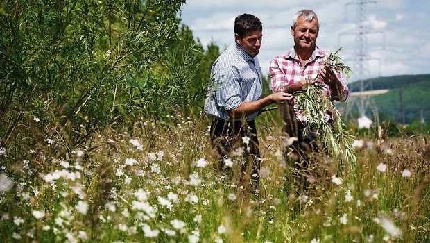 Oftmals ist die Wertschätzung zwischen den Generationen vorhanden. Lediglich mit dem Zeigen beziehungsweise Aussprechen tun sich beide Parteien unnötig schwer. Dabei können wenige Worte oft viel bewirken. (Bild: Keystone) 