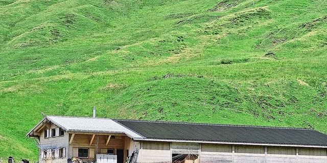 Auf dem Dach des neuen Alpgebäudes der Familie Betschart wurde eine 400 Quadratmeter grosse Photovoltaikanlage installiert.