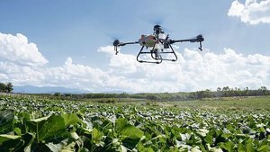 Das Einsatzgebiet de Das Einsatzgebiet der Drohnen wächst. Hier bringt eine Drohne vom Typ Agras T10 der Firma Dji ein Präparat auf Kürbisse aus.