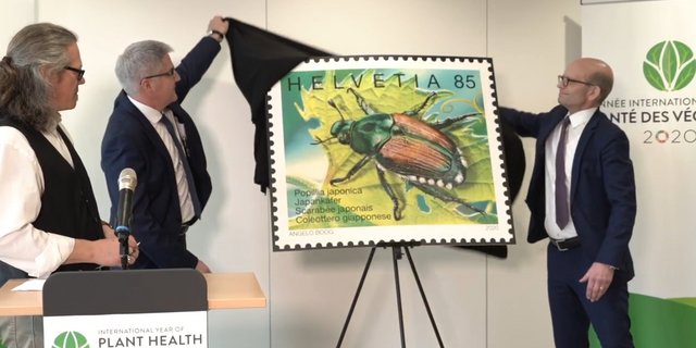 Übertragen via Internet: Die Medienkonferenz zur neuen Briefmarke fand nur online statt. (Bild akr)