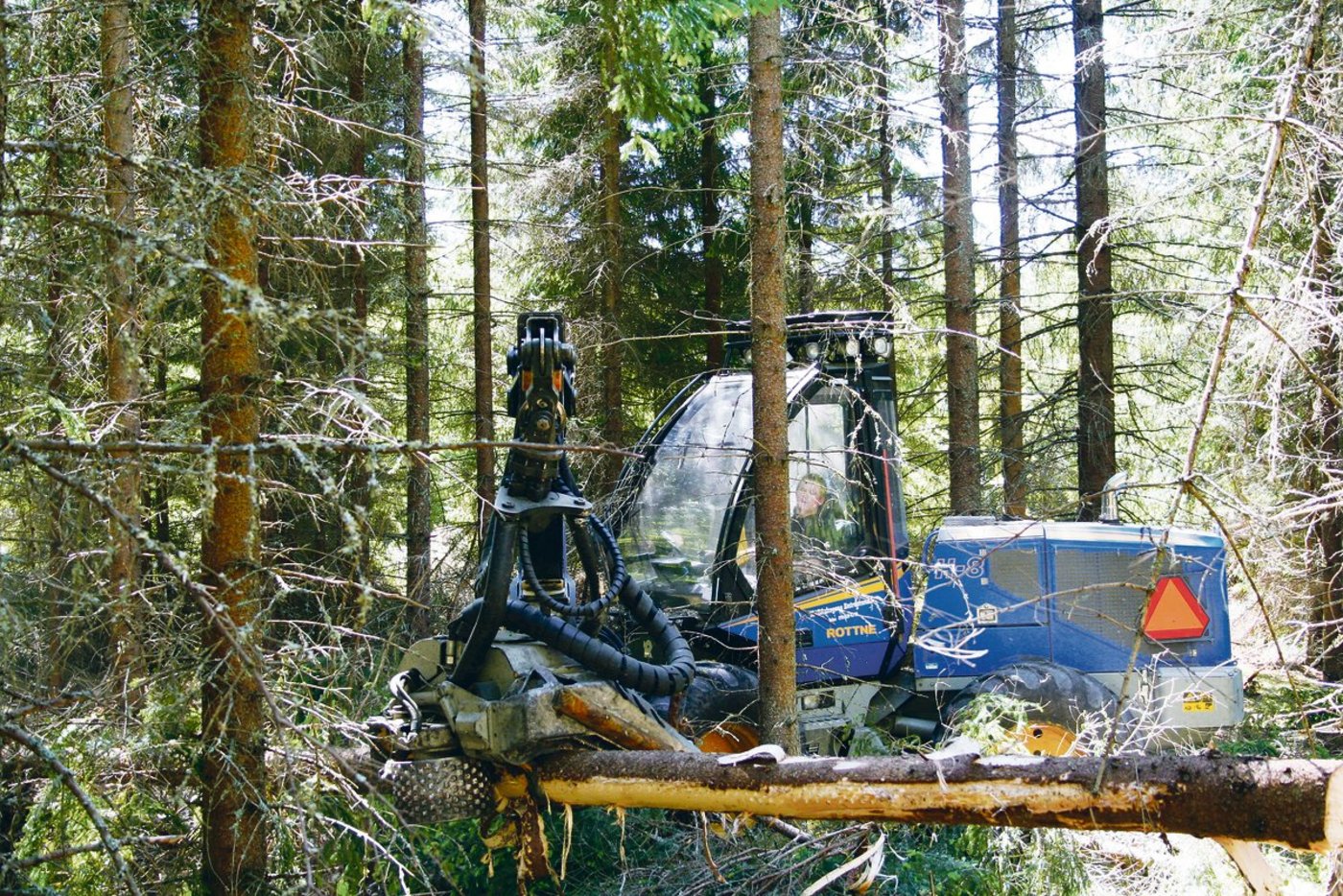 Das Angebot an frischem Nadel-Sägerundholz ist aktuell  in weiten Teilen der Schweiz ausreichend,(Bild Hans Rüssli)