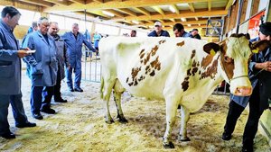 Die öffentlichen Mär Die öffentlichen Märkte sind ein wichtiges Instrument bei der Preisbildung für Rindvieh. Die Inlandleistung leistet hierzu einen wichtigen Anreiz.