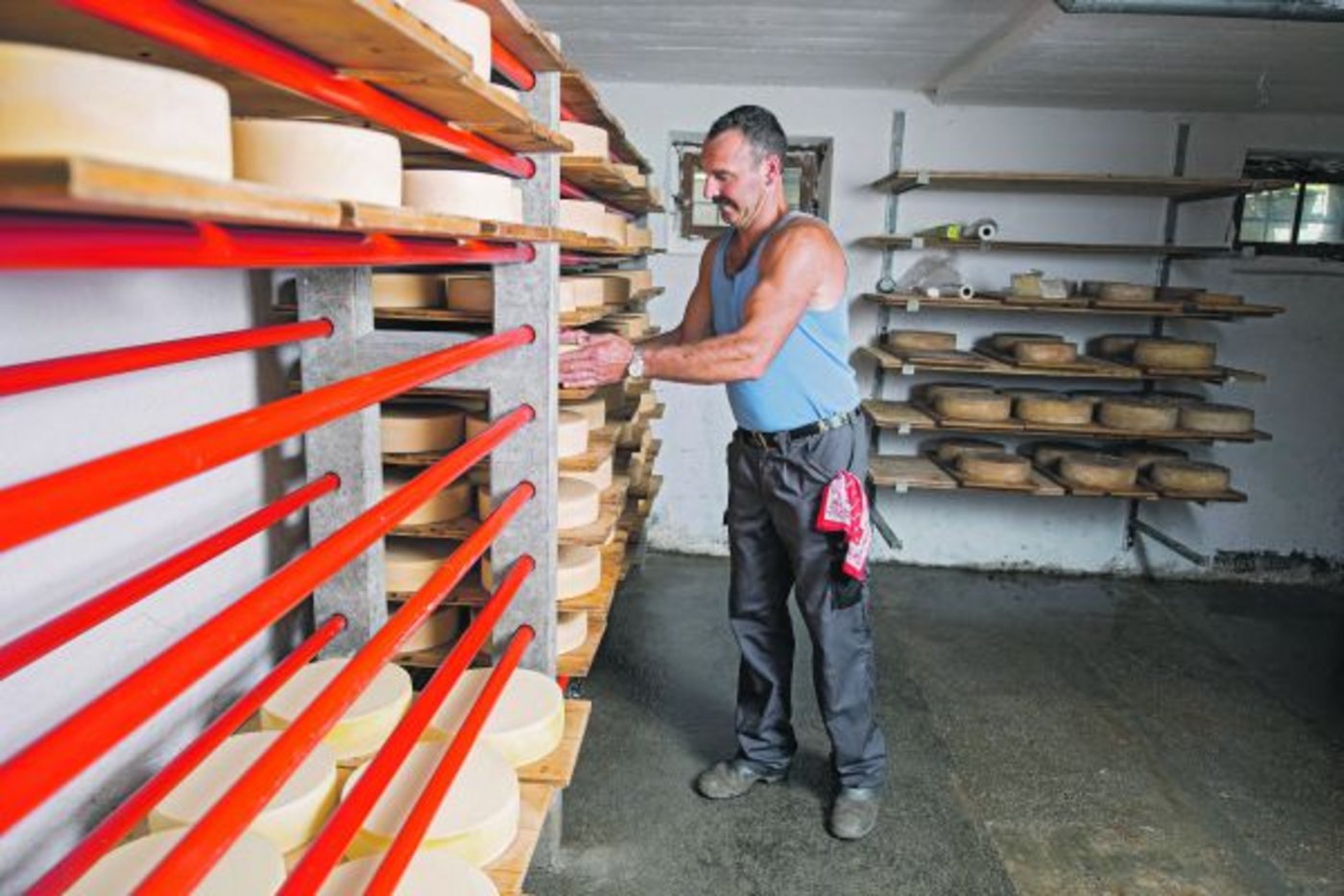 Glarner Alpkäse AOP ist ein Nischenprodukt. Gruyère und Emmentaler (noch) nicht. Um den Absatz müssen aber beide kämpfen. (Bild hja)