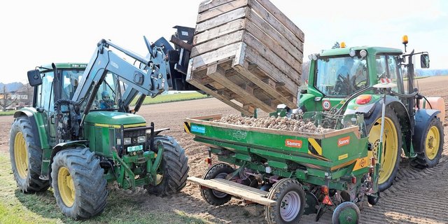 Die Bestellungen von Pflanzgut für die diesjährige Anbausaison seien mehrheitlich abgeschlossen, sagen die Anbieter.
