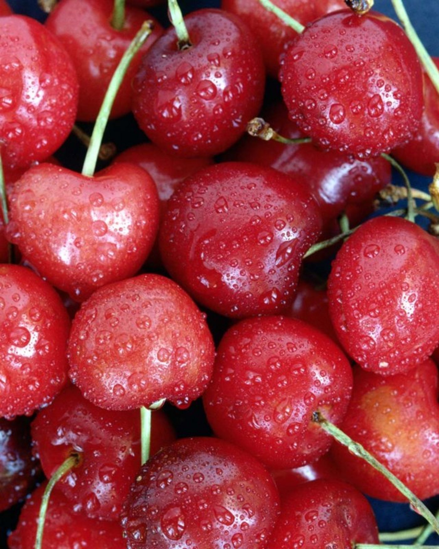 Die heimische Kirschensaison hat begonnen. (Bild Archiv BauZ)