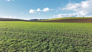 Die Kunstwiese ist T Die Kunstwiese ist Teil einer gesunden Fruchtfolge. Sie werde bei «Klimastar Milch» nicht in Frage gestellt, heisst es.