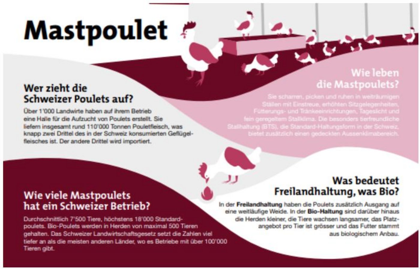 Ausschnitt aus der Thementafel Mastpoulet. (Bild lid)