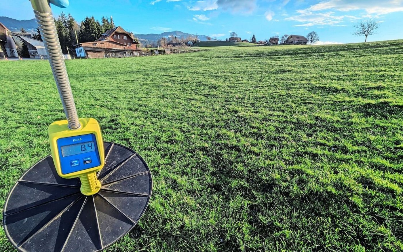 Weil diese Kurzrasenweide tief verbissen wird, wirkt der Bewirtschafter einer Übernutzung mit einer häufigeren Güllegabe entgegen.