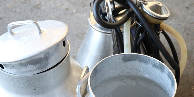 Die Ausarbeitung des Branchenstandards für nachhaltige Schweizer Milch ist noch nicht abgeschlossen. (Bild Ruth Aerni)