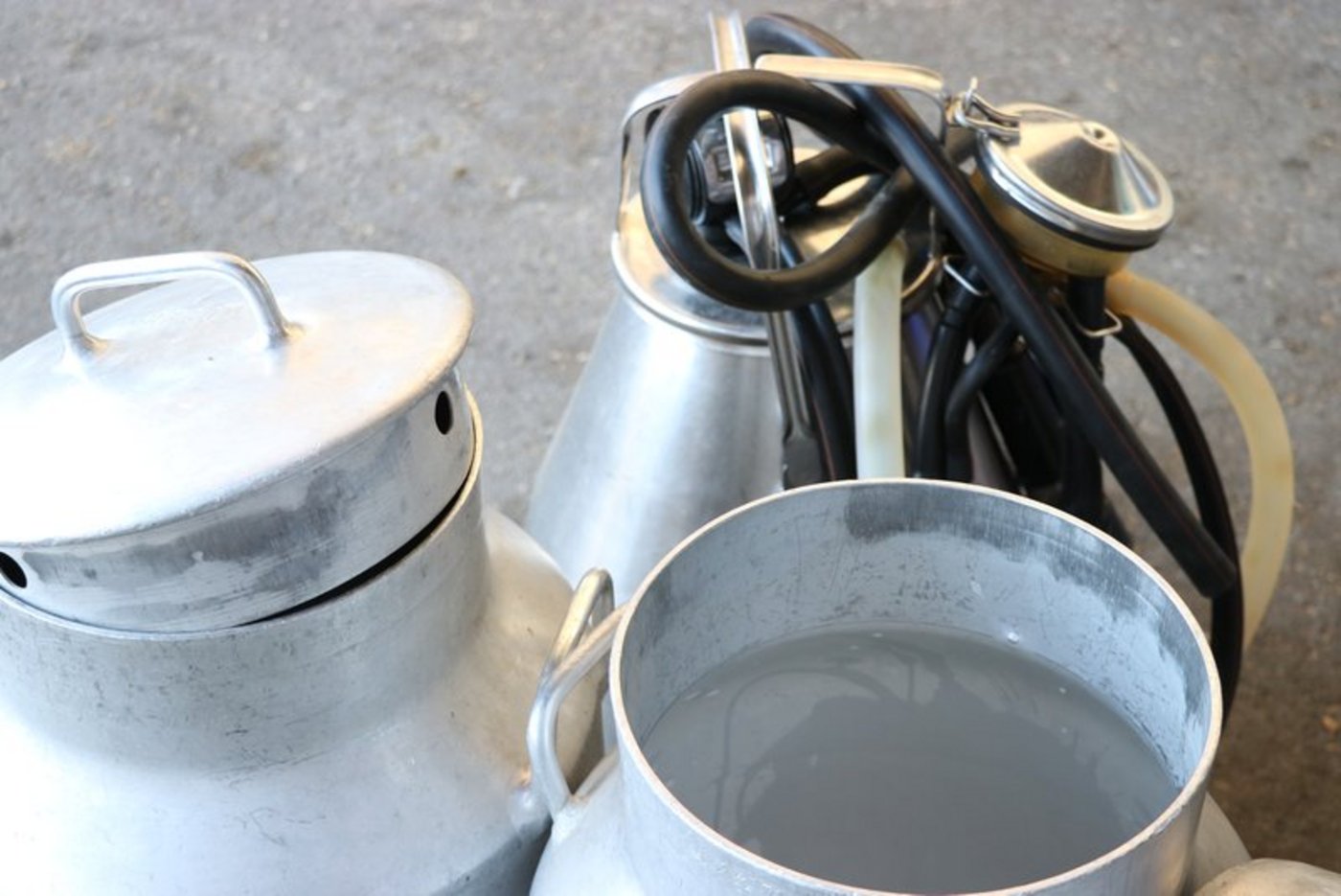 Die Ausarbeitung des Branchenstandards für nachhaltige Schweizer Milch ist noch nicht abgeschlossen. (Bild Ruth Aerni)