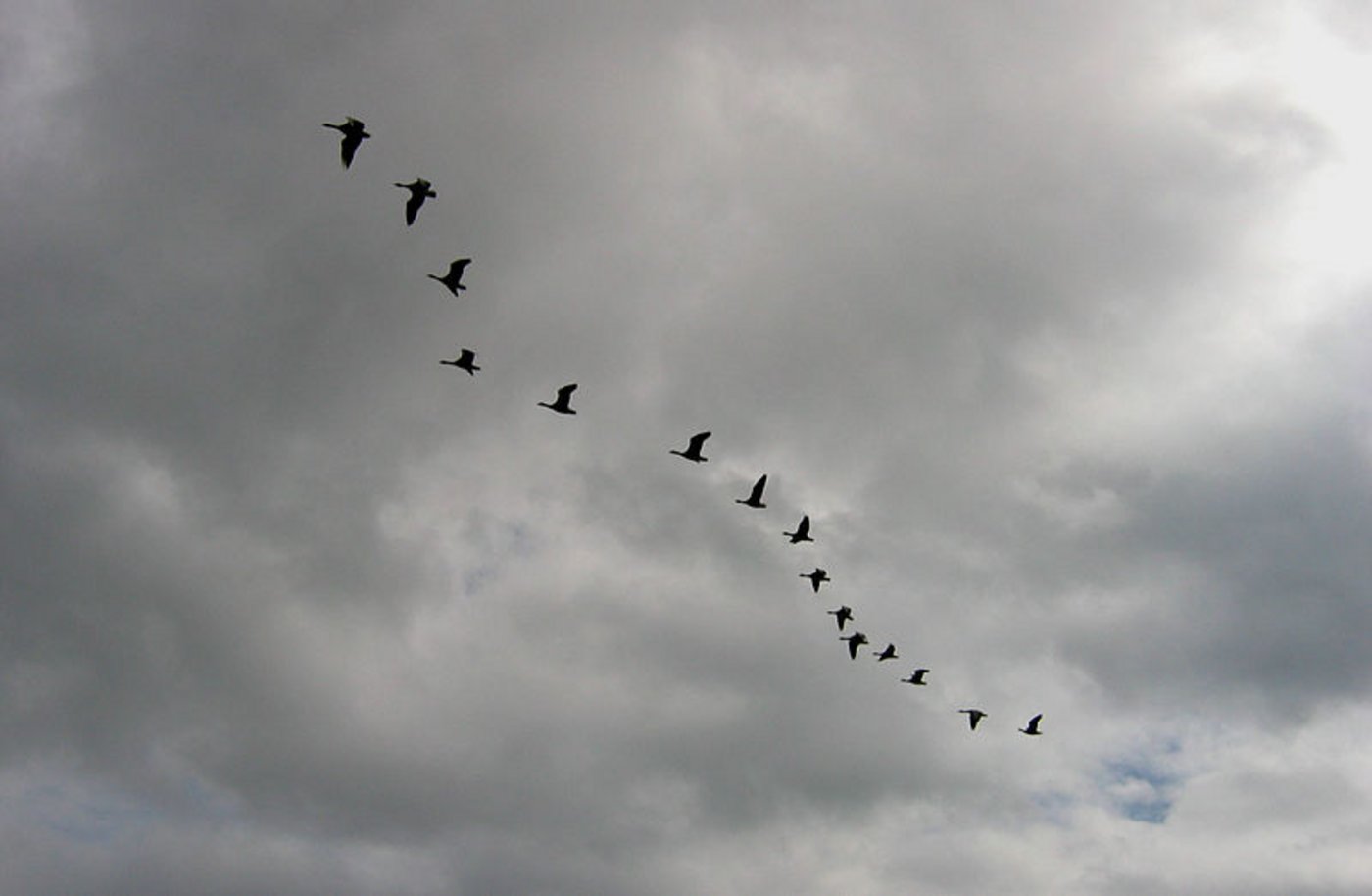 Die Kommission hat den Schutz von Wasser- und Zugvogelreservaten von nationaler Bedeutung verstärkt. (Bild: Michael Hanselmann)