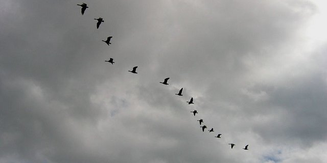 Die Kommission hat den Schutz von Wasser- und Zugvogelreservaten von nationaler Bedeutung verstärkt. (Bild: Michael Hanselmann)