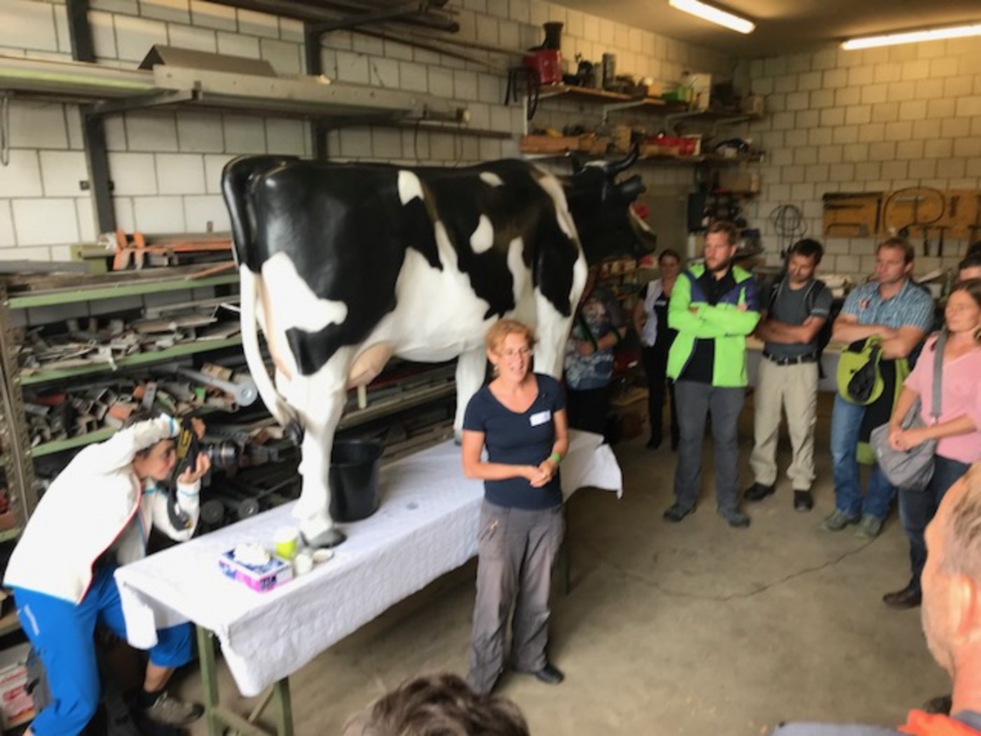 Ariane Maeschli vom FiBL gibt an der Plastickuh Hinweise zur korrekten Anwendung von Antibiotika. (Bild akr) 