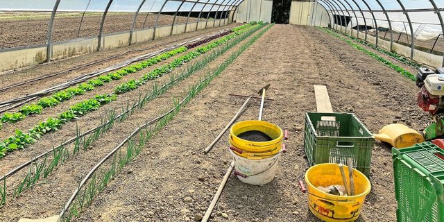 Das Betriebsleiterpaar hat ihren Hof aufgebaut und heute eine gut funktionierende Direktvermarktung für Bio-Gemüse.