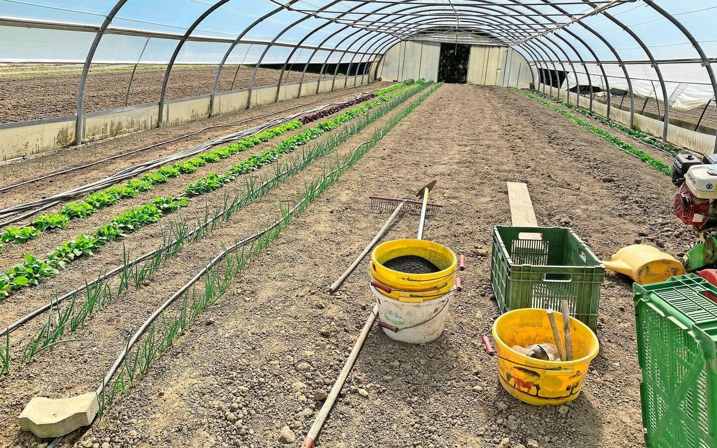 Das Betriebsleiterpaar hat ihren Hof aufgebaut und heute eine gut funktionierende Direktvermarktung für Bio-Gemüse.