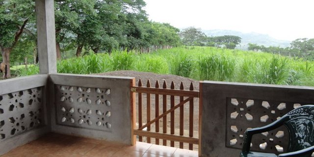 Die Verandatüren sind wichtig: Jetzt können die Hunde nicht mehr Darios Spielzeug stibitzen. (Bild: Mirka Lötscher)