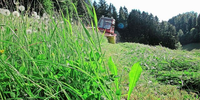 Neu gibt es u. a. für die Anschaffung elektrischer Zweiachsmäher ab 30 kW Fördergelder vom Bund.