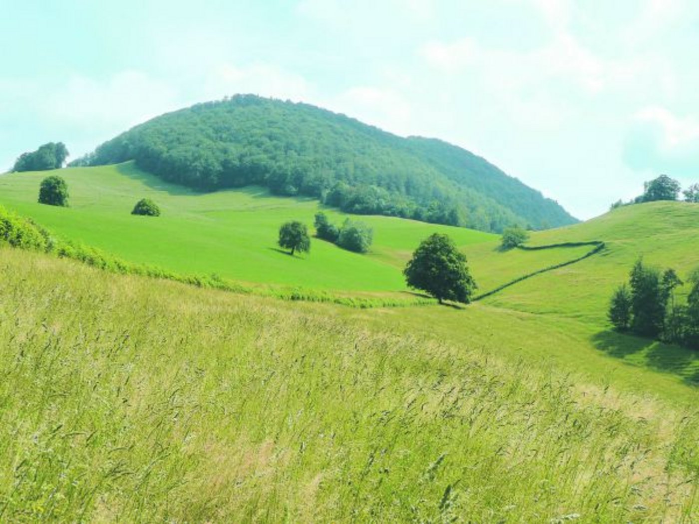 Die LQB-Massnahmen stossen bei den Solothurner Landwirten auf grossen Zuspruch.   Das hat nun finanzielle Folgen. (Bild zVg)