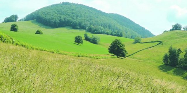 Die LQB-Massnahmen stossen bei den Solothurner Landwirten auf grossen Zuspruch.   Das hat nun finanzielle Folgen. (Bild zVg)