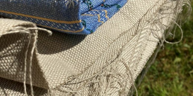 Die Voraussetzungen sind vorhanden, dass die Schwinger dereinst in Edelweisshemden und Zwilchhosen aus Schweizer Leinenstoff ins Sägemehl steigen. (Bild lid, rh)