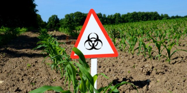 Greenpeace und WWF begrüssen den Entscheid, stellen aber weitere Forderungen. (Bild Fotolia)