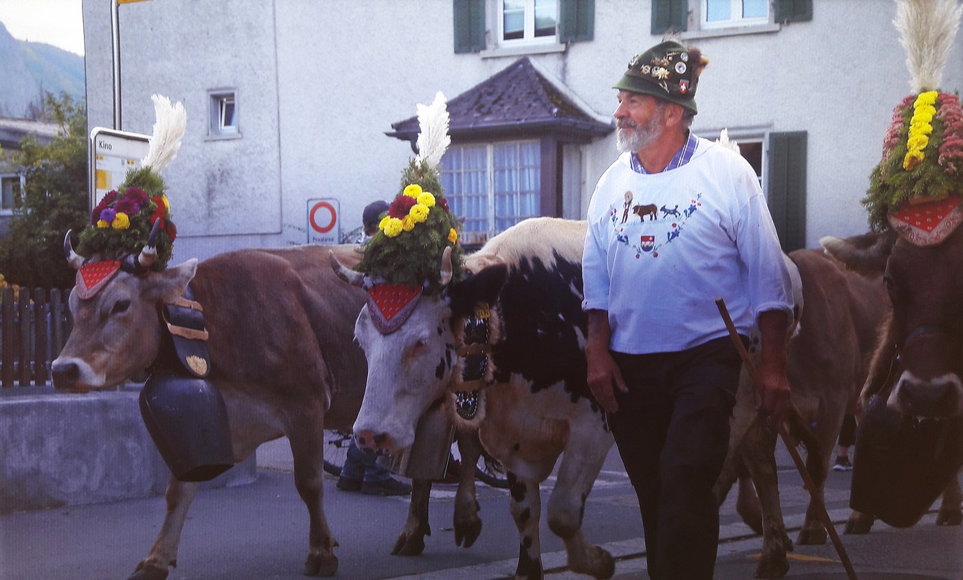 Das Fahr-Glüüt» des Muotathalers klingt besonders schön und harmonisch. Bald ist es anlässlich der Alpauffahrt zu hören. (Bild zVg)