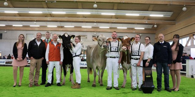 Die Missen in drei Farben: Kaeser Armani Mirella, Abtop Fantastic Sizilia, Riedtalfarm Diploma Sina.