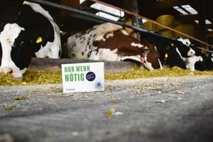 Auf den richtigen Einsatz von Antibiotika («Nur wenn nötig») sollte diese «Werbe-Pillenpackung» im Rahmen der Antibiotika-Bewusstseins-Woche 2017 hinweisen. (Bild Jasmine Baumann)