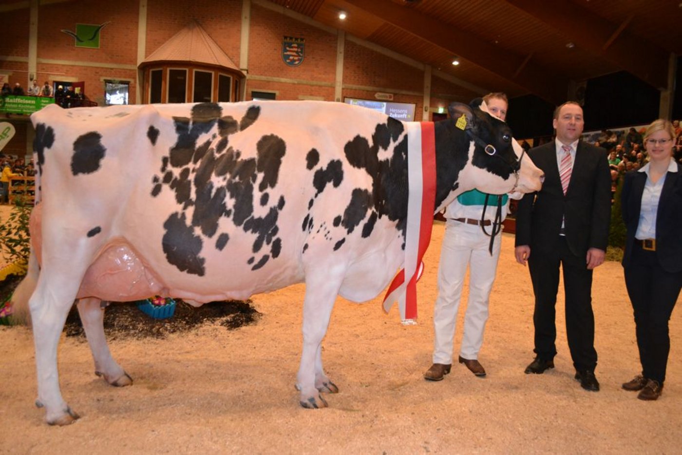 Suprême Champion und Senior Siegerin der Holstein: Duplex Myrthe vom Betrieb Muetze in Frankenberg. (BIlder: Peter Fankhauser)