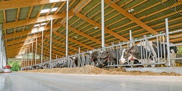 Nicht nur in grossen neuen Milchviehställen kommt viel Technik zum Einsatz. Futter-Zuschieber wie links im Bild trifft man auch auf kleineren Betrieben vermehrt an. (Bild Fotolia)